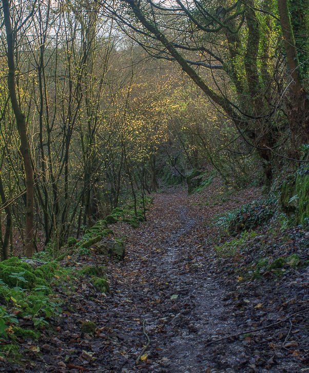 Limestone Way Limestone Way